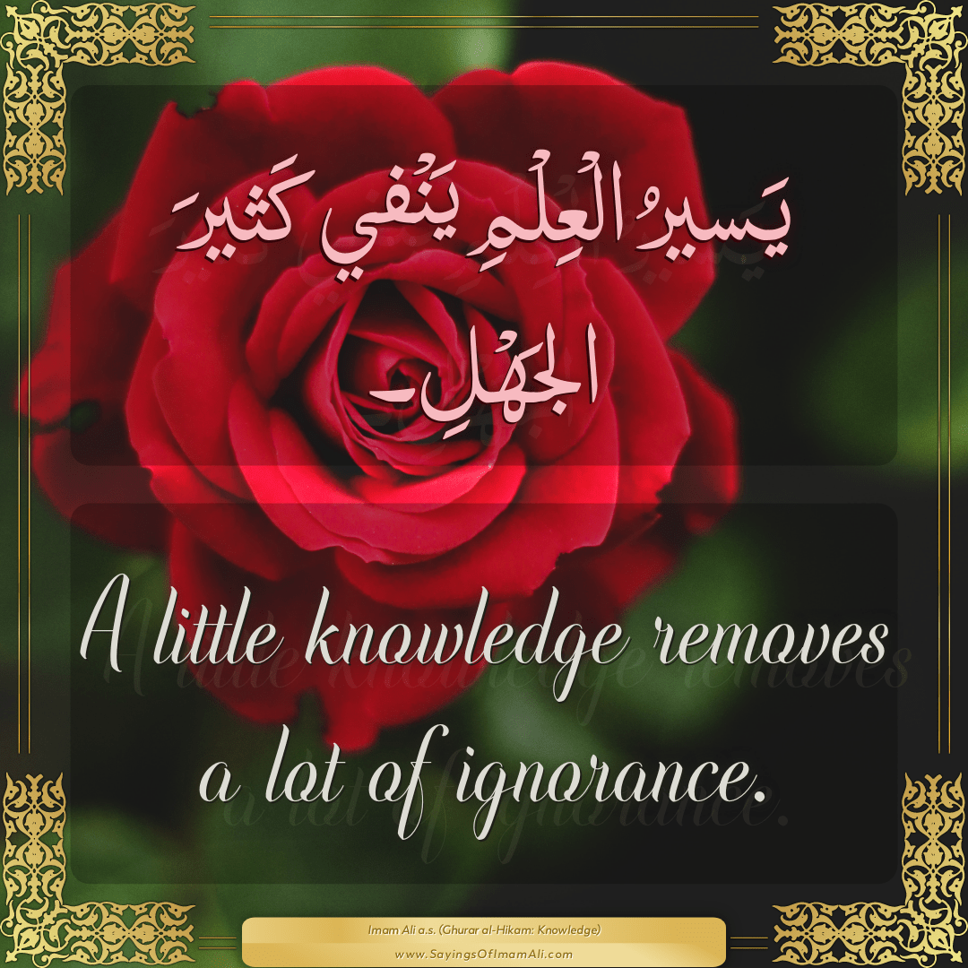 A little knowledge removes a lot of ignorance.